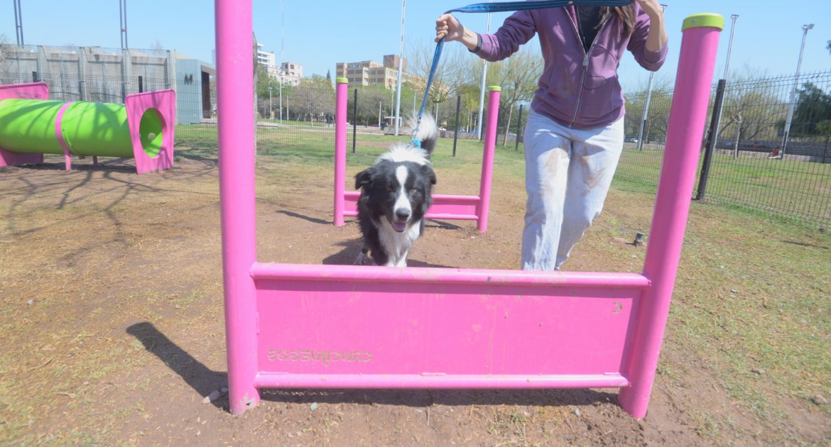 La Ciudad cuenta con un sector para mascotas en el Parque Central