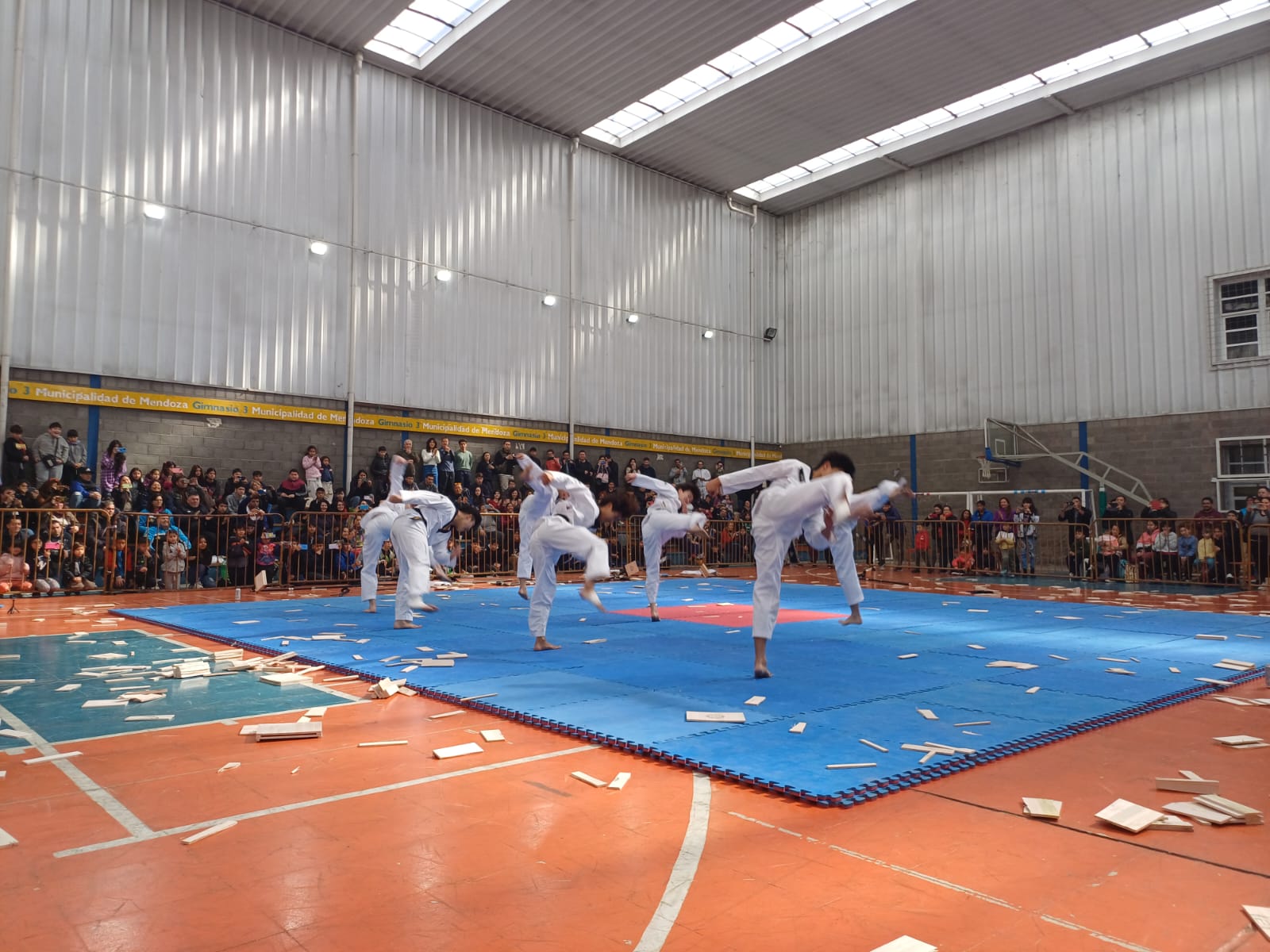 Taekwondo Ciudad Mendoza 2