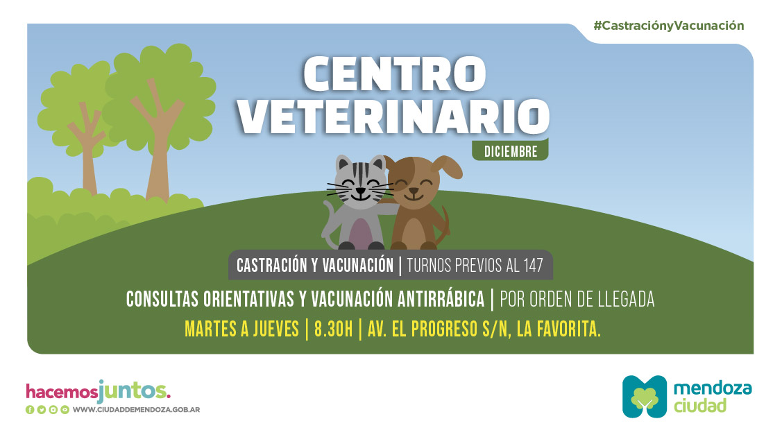 Salud Animal Ciudad Mendoza Diciembre Veterinaria Fija
