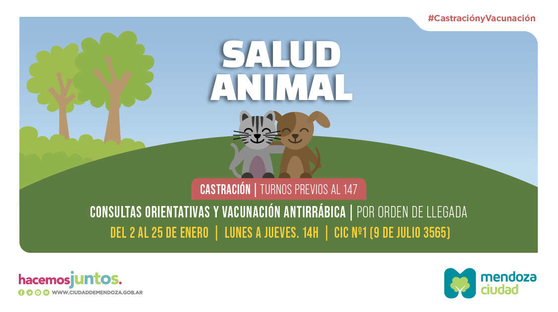 Salud animal enero Ciudad Mendoza